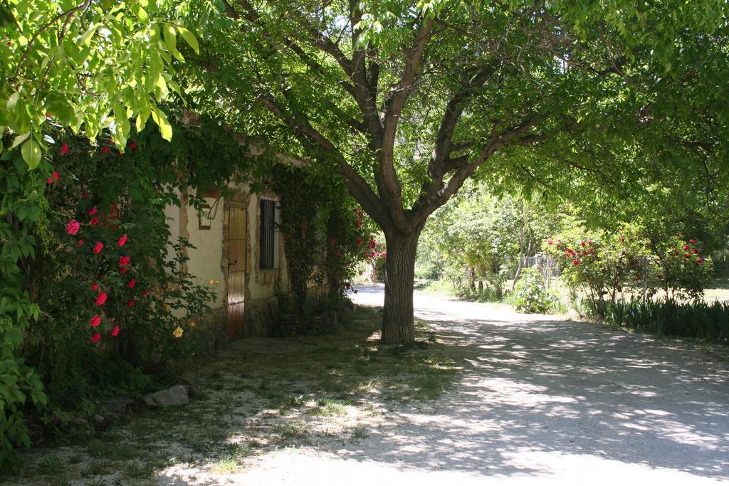 Casas Rurales Los Enebros Nerpio Buitenkant foto