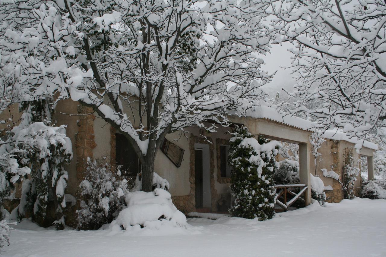 Casas Rurales Los Enebros Nerpio Buitenkant foto